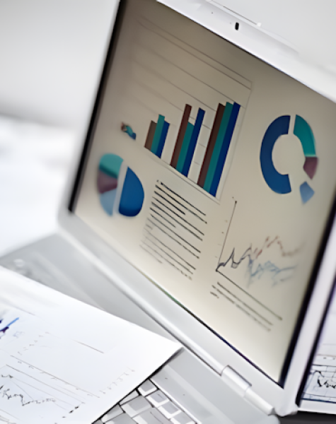 Financial Advisory Services